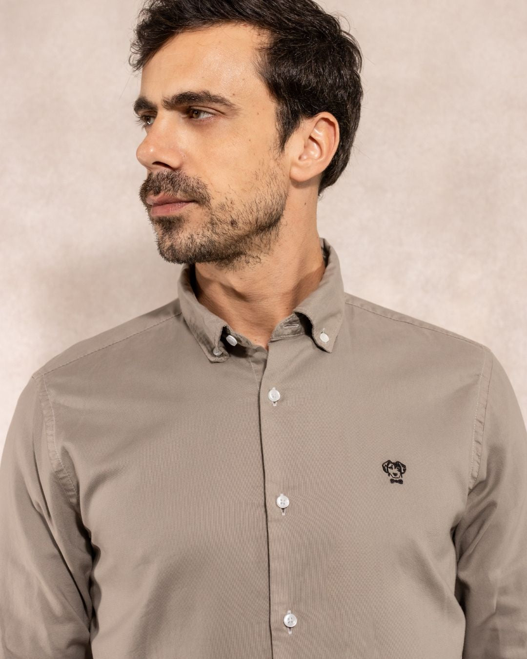 Camisa Antimanchas Oxford Gris - Regular Fit