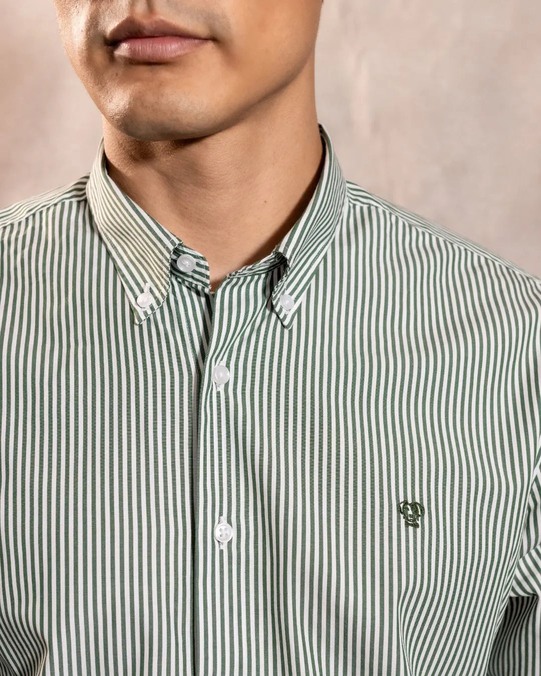 Camisa Antimanchas Popelina Rayas Verde Oscuro Logo Combinado