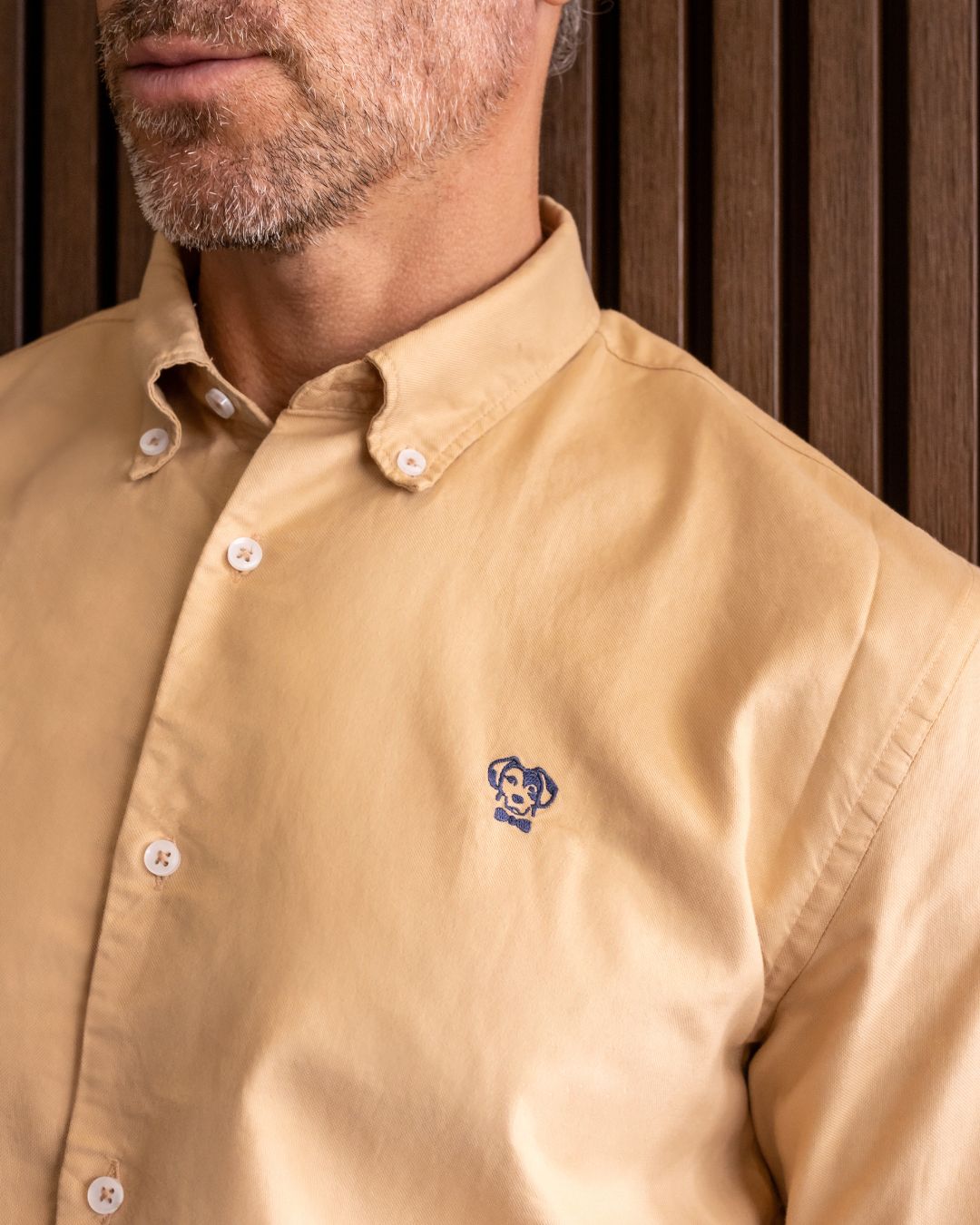 Camisa Antimanchas Oxford Arena - Regular Fit