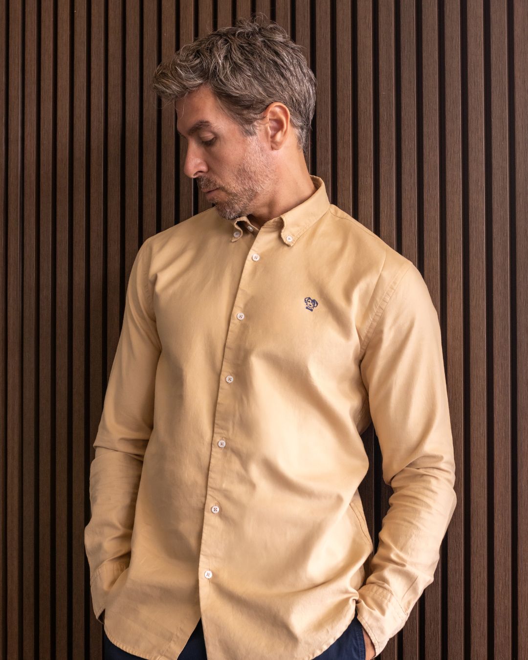 Camisa Antimanchas Oxford Arena - Regular Fit