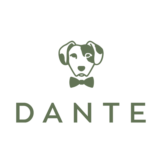 DANTE CENTRO AMERICA