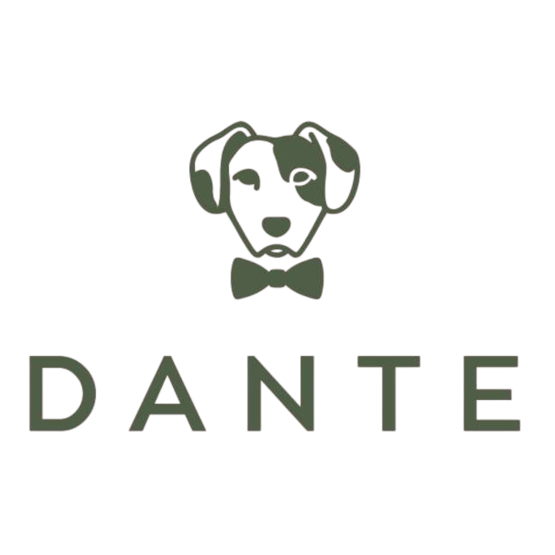 DANTE CENTRO AMERICA